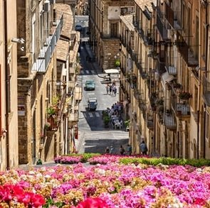 flowers-and-street